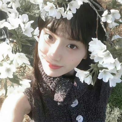 反贪腐 在线观看封面