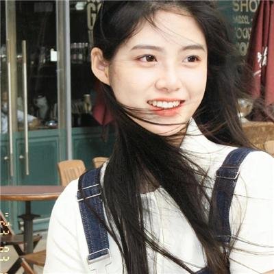 哈尔斯顿 在线观看封面